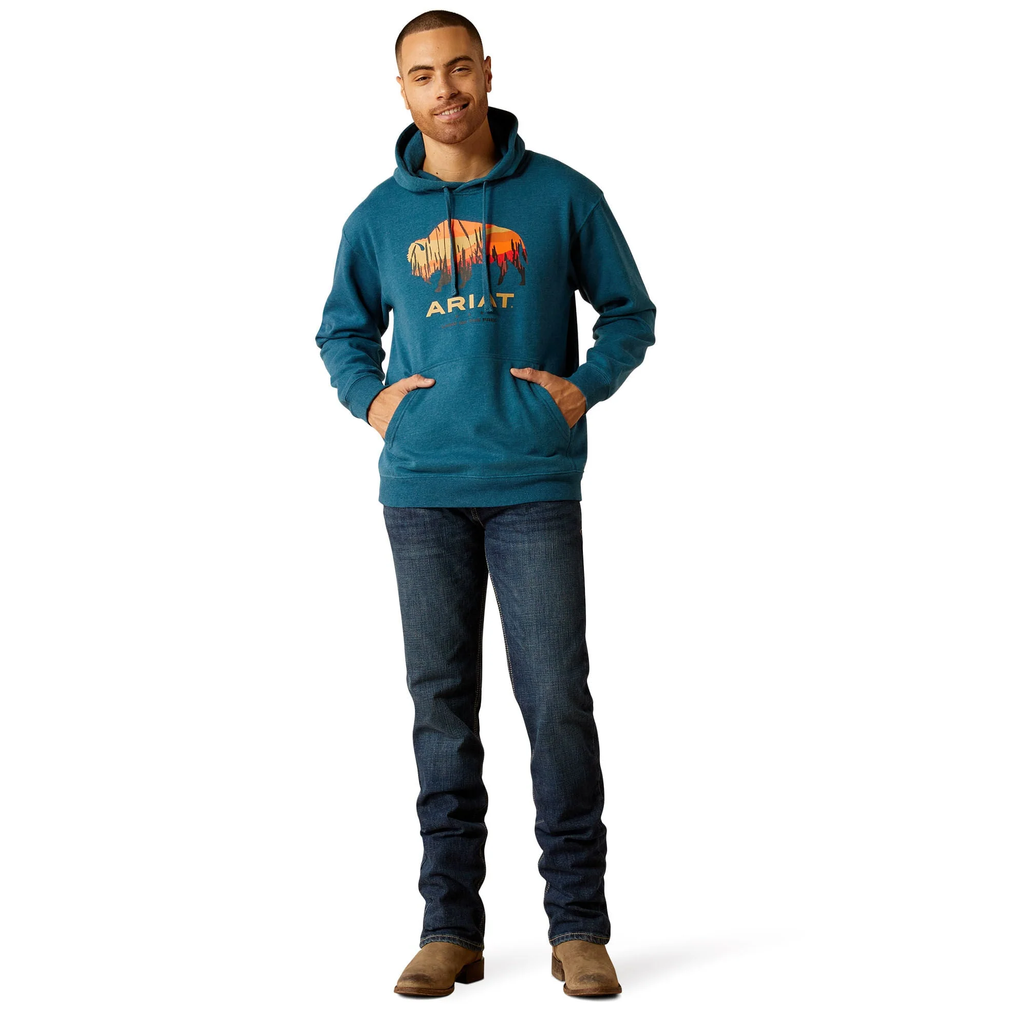 Ariat Men's Bison Plains Hoodie - Healthber