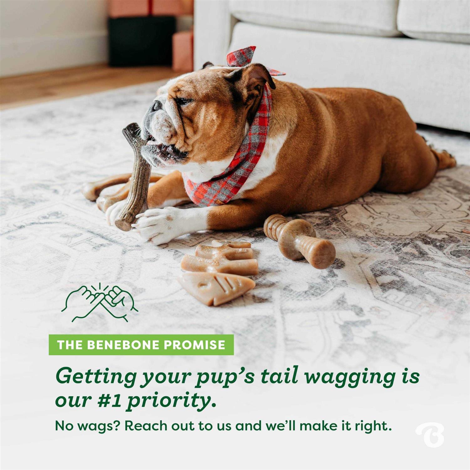 Benebone Dog Chew Toy Holiday 4 Pack - Healthber