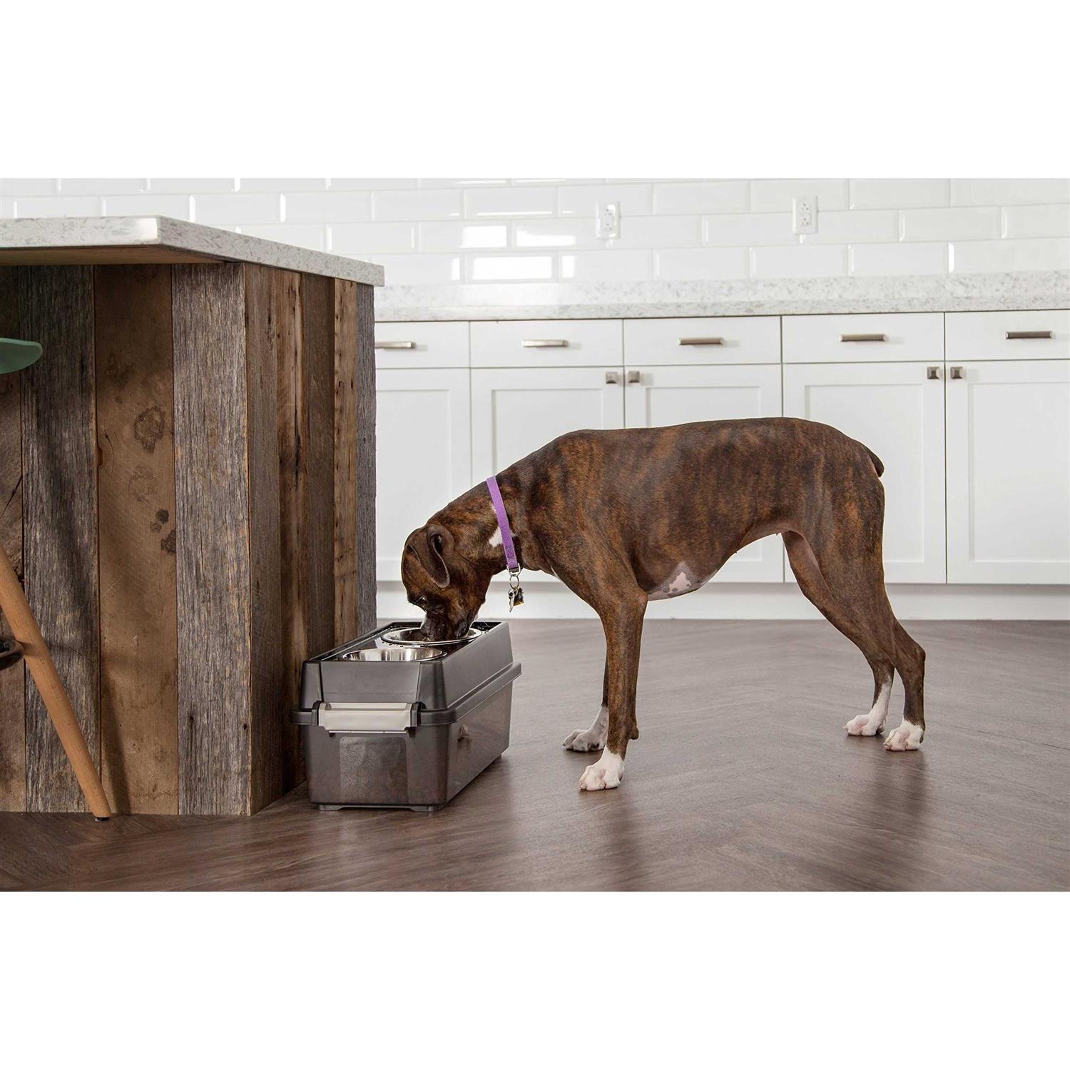 Iris Elevated Feeder with Airtight Storage - Healthber