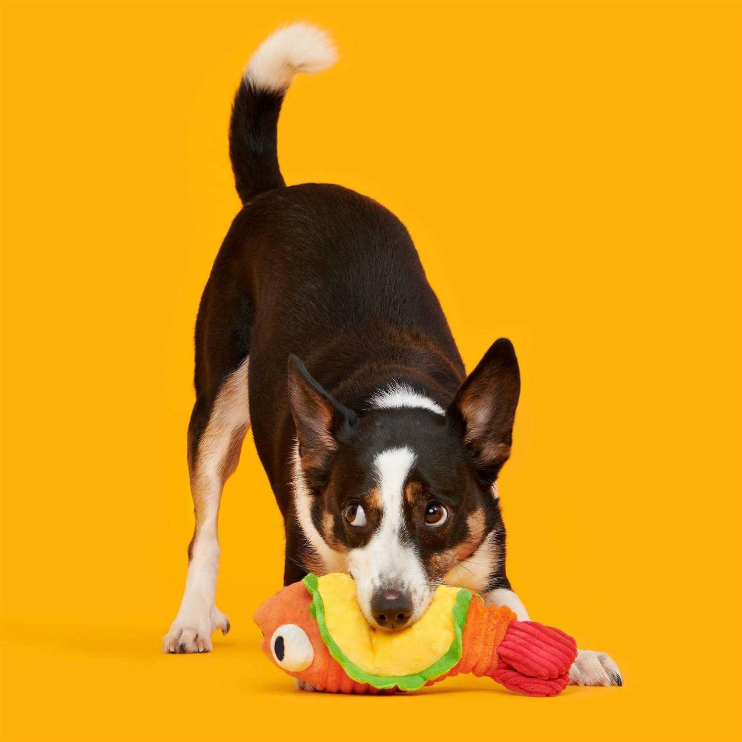 BARK Eduardo The Shrimp Taco Dog Toy - Healthber