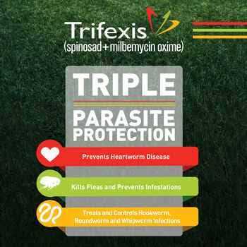 Trifexis for Dogs - Healthber