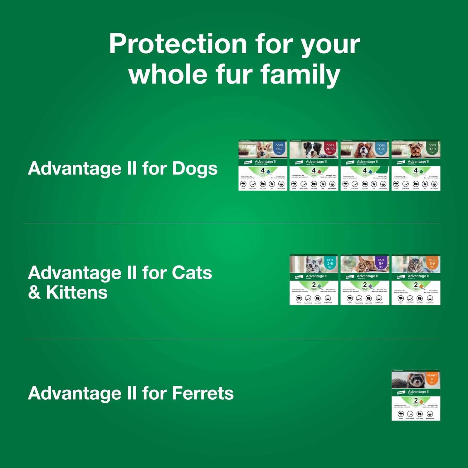 Advantage II for Dogs 3 - Healthber