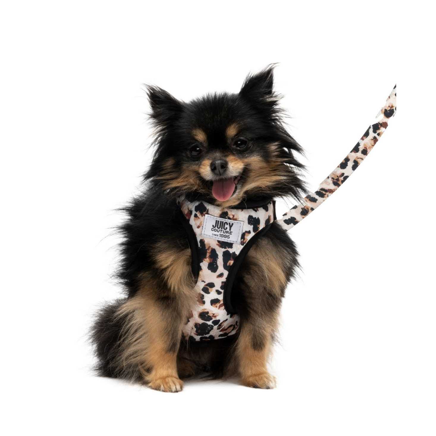 Juicy Couture Harness & Leash Set - Healthber