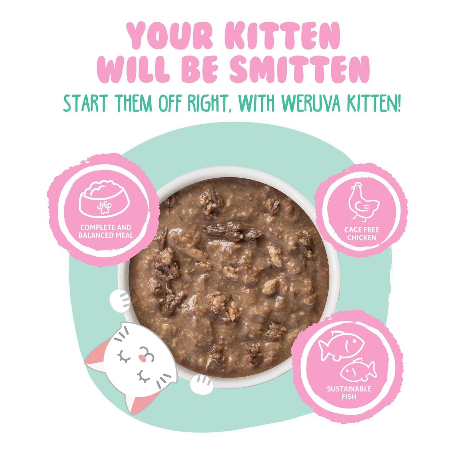 Weruva Kitten Chicken & Tuna Formula in Gravy Wet Cat Food - Healthber