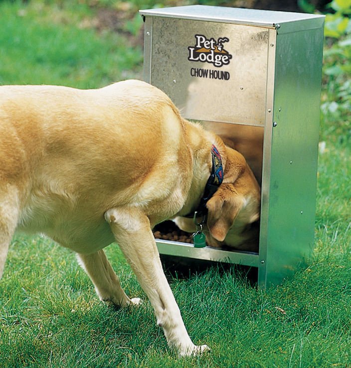 Chow Hound Pet Feeder - Healthber
