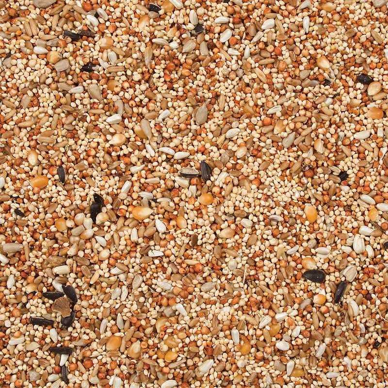 Wild Delight Dove Quail Food - Healthber