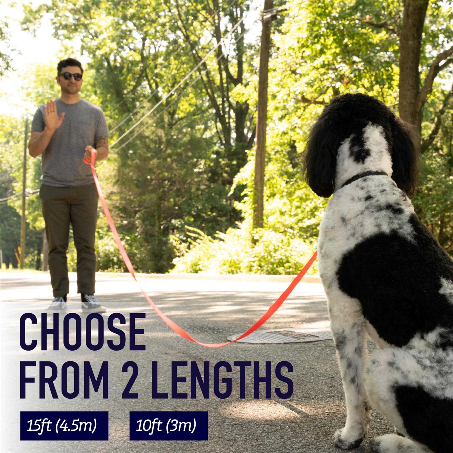 Leashboss 10 Foot Dog Leash with Padded Handle - Healthber