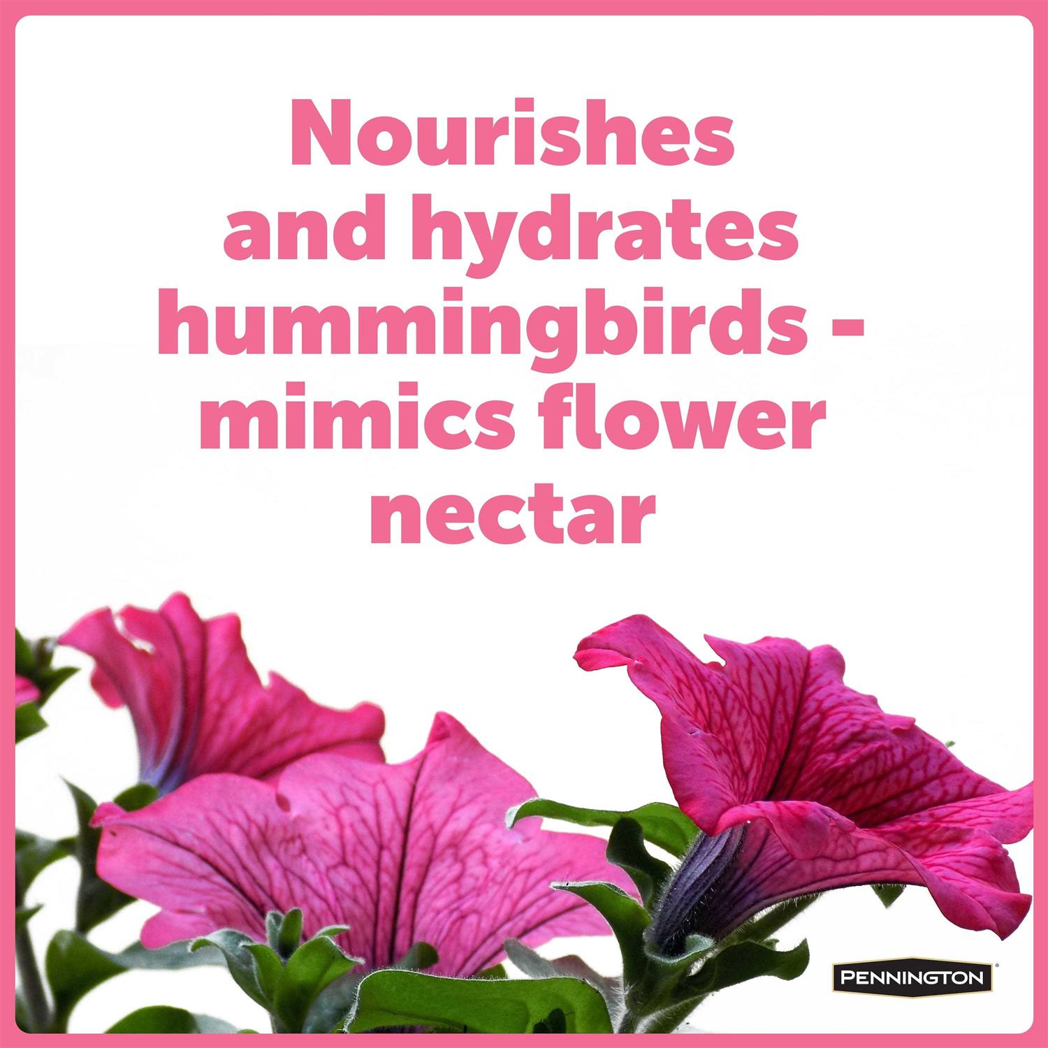 Pennington Liquid Concentrate Electro Nectar - Healthber