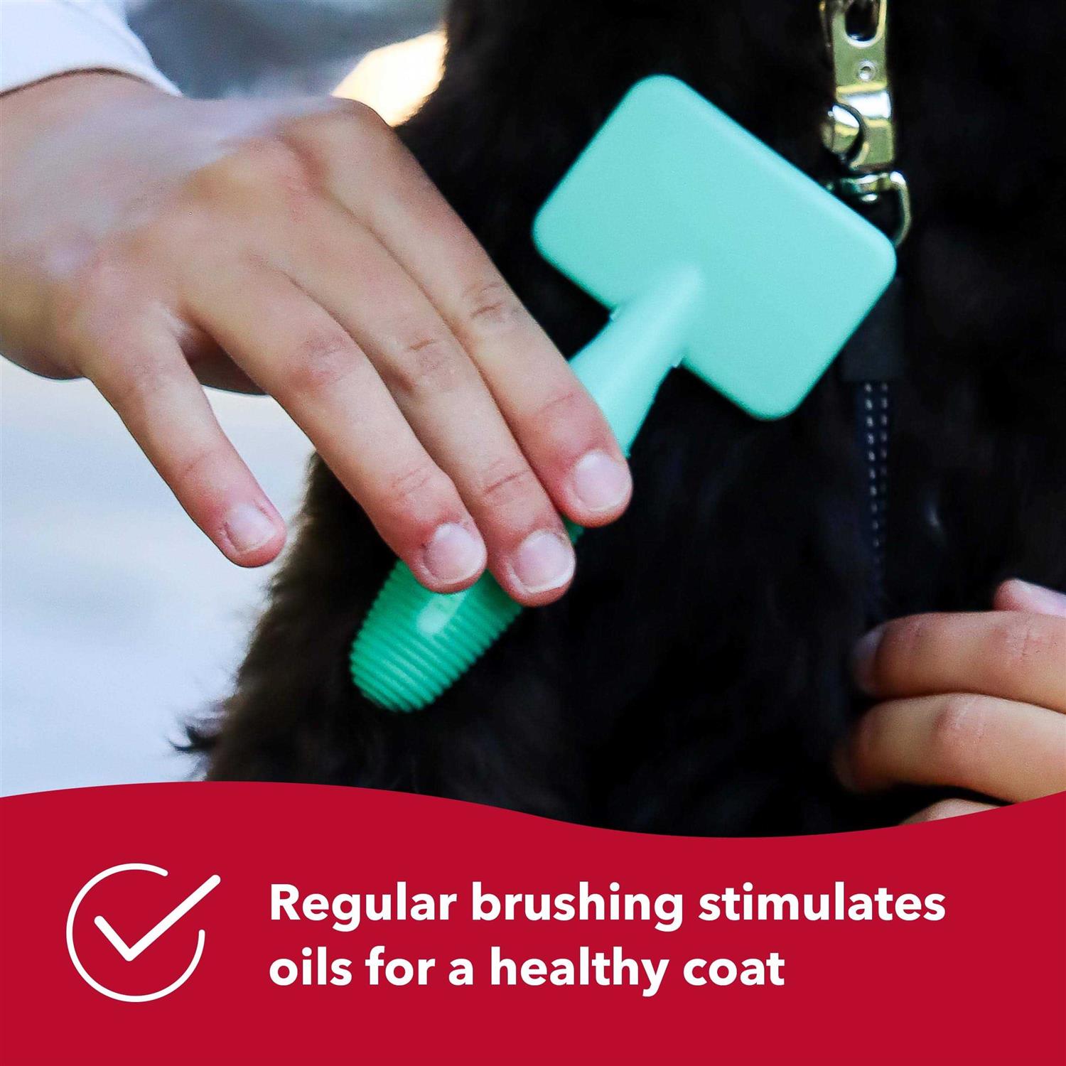 Li’l Pals Slicker Brush - Healthber