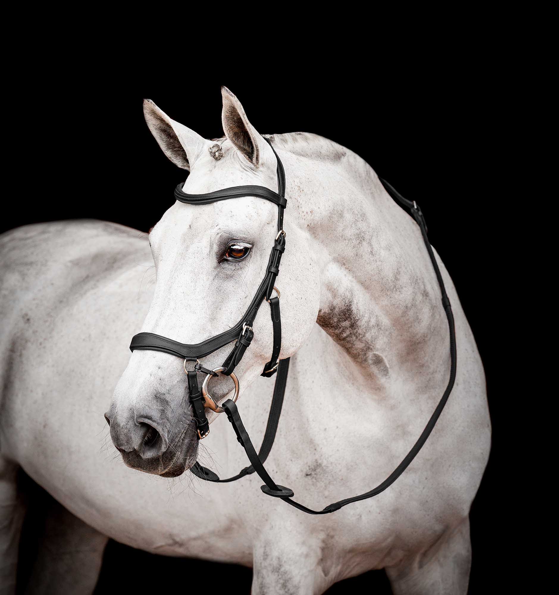 Micklem 2.0 Competition Bridle, Black - Healthber