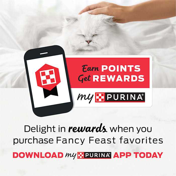 Purina Fancy Feast Medleys White Meat Chicken Florentine Wet Cat Food Can with Spinach - Healthber