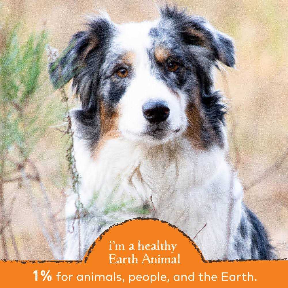 Earth Animal Stop Eating Stool Nutritional Supplement - Healthber