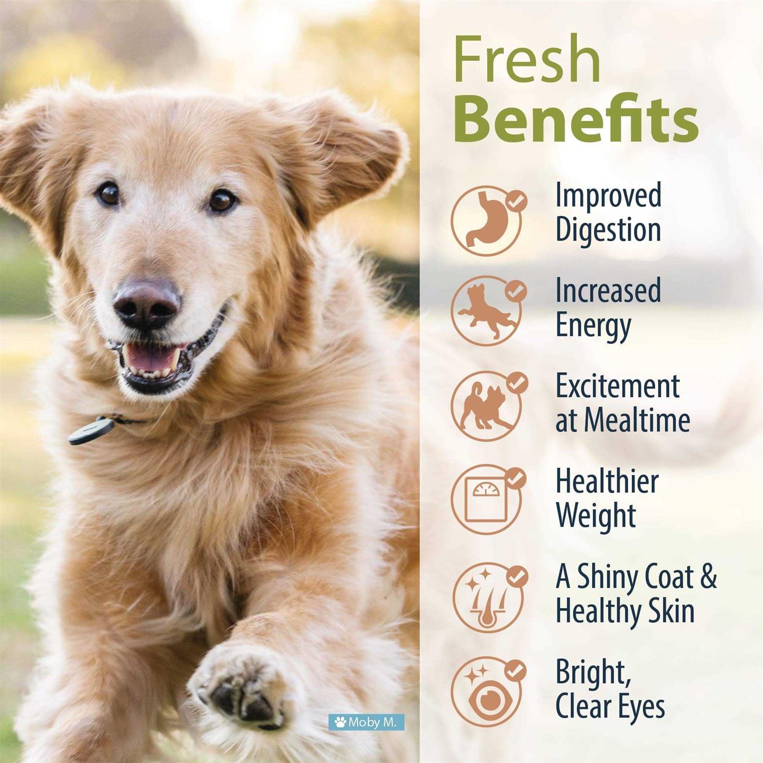 JustFoodForDogs Frozen Fresh Dog Food Human - Healthber