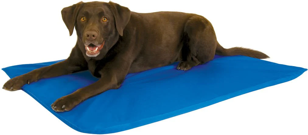 K&H Cool Bed III - Healthber