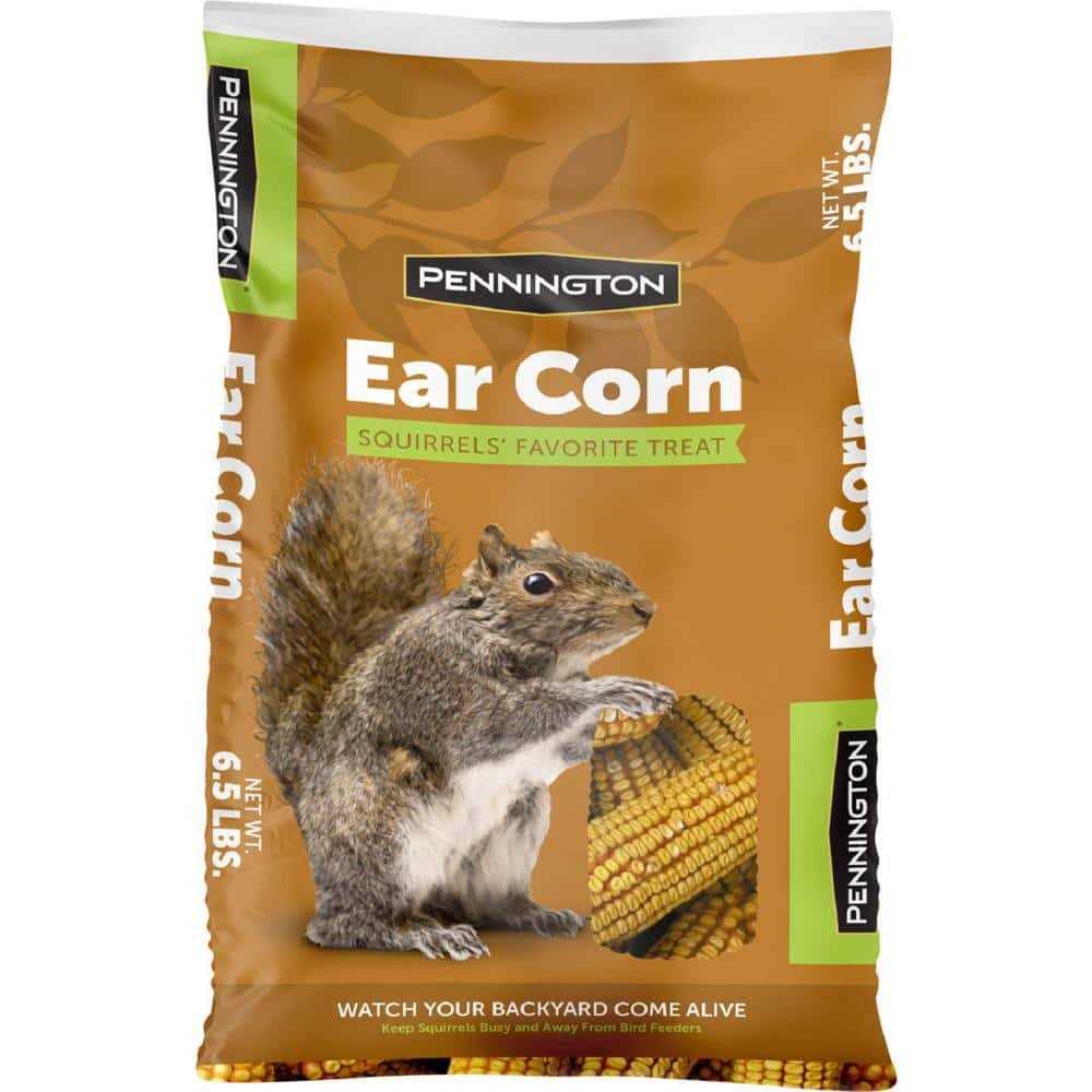 6.5 Lbs. Squirrels Ear Corn Cobs - Healthber