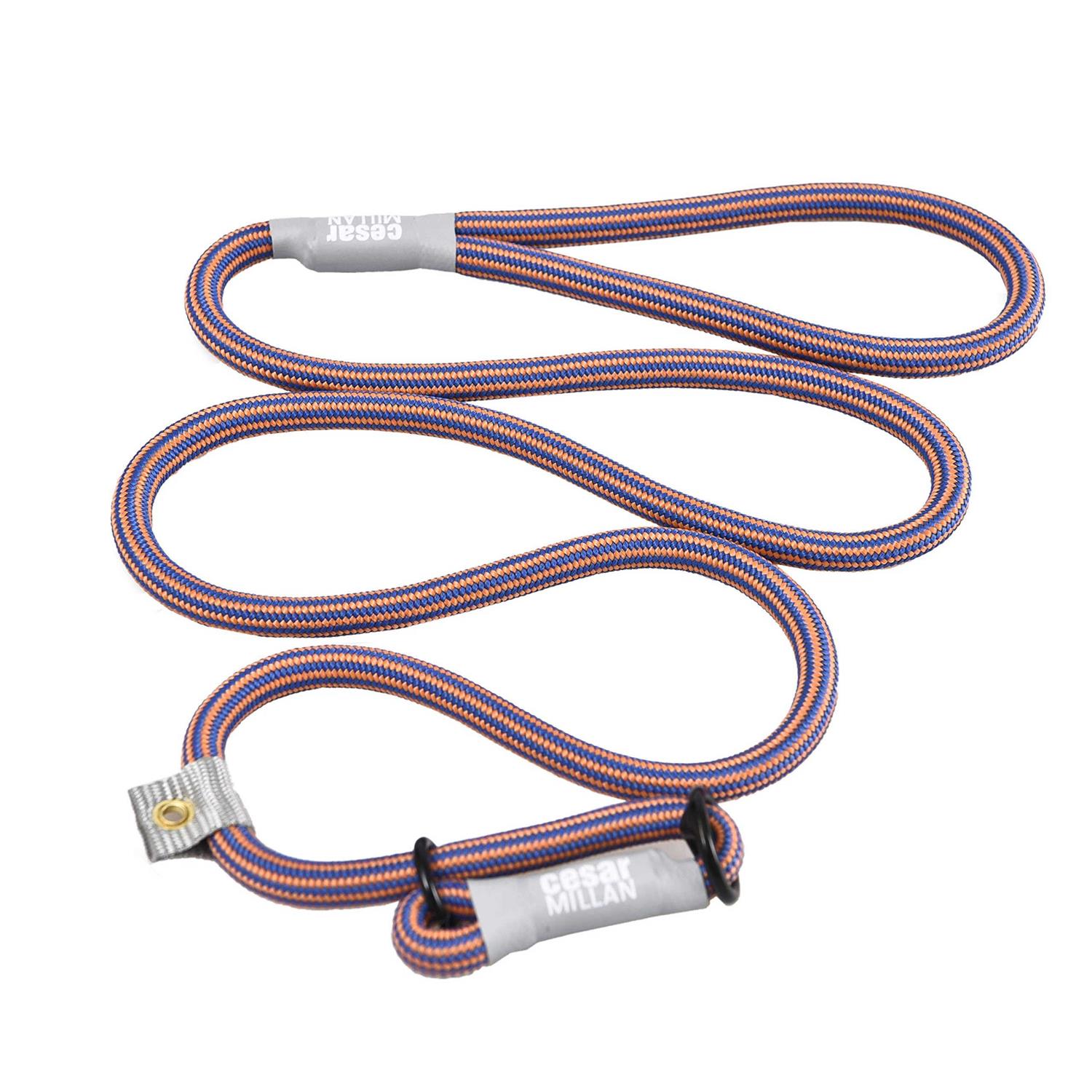 Cesar Millan Slip Lead Leash 2-in-1 Slip Collar Dog Training Lead & Collar - Healthber