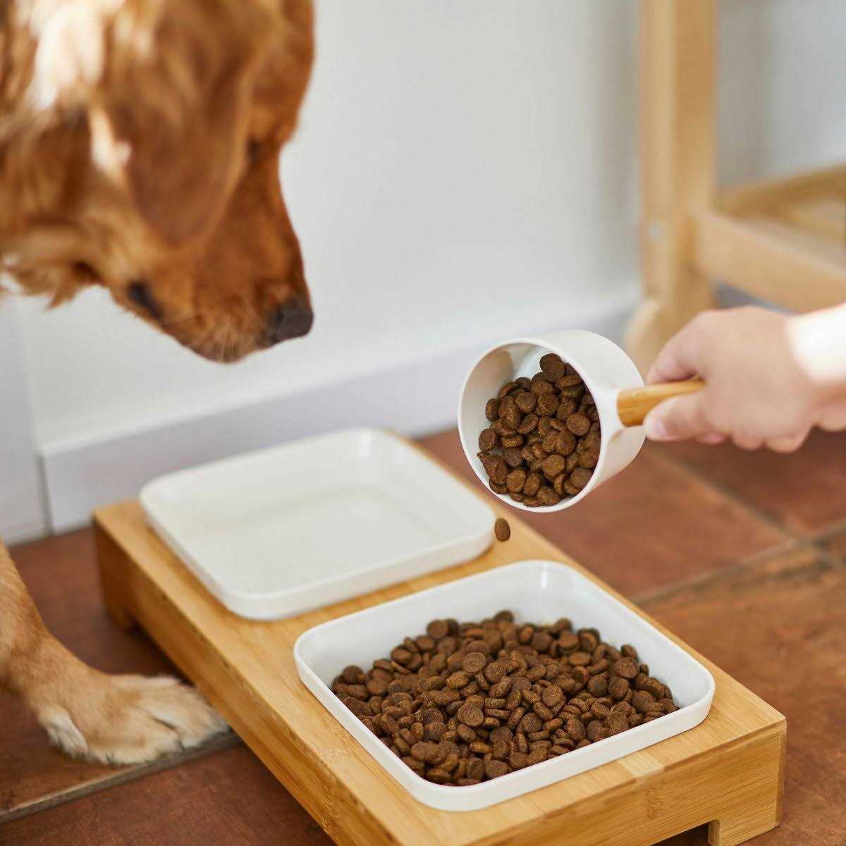 Frisco Melamine Dog & Cat Food Scoop with Bamboo Handle - Healthber