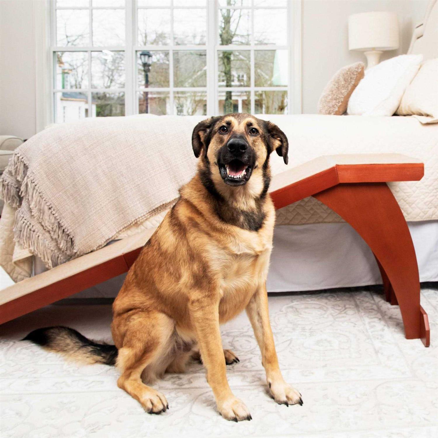 CozyUp Bed Ramp PetSafe - Healthber