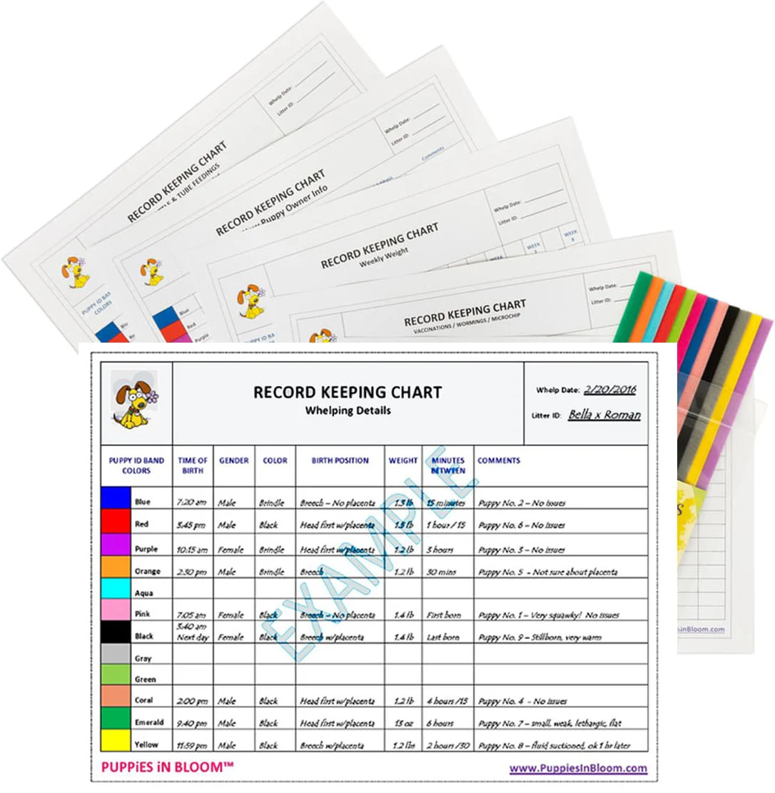 Puppies in Bloom Breeder Record Keeping Charts - Healthber