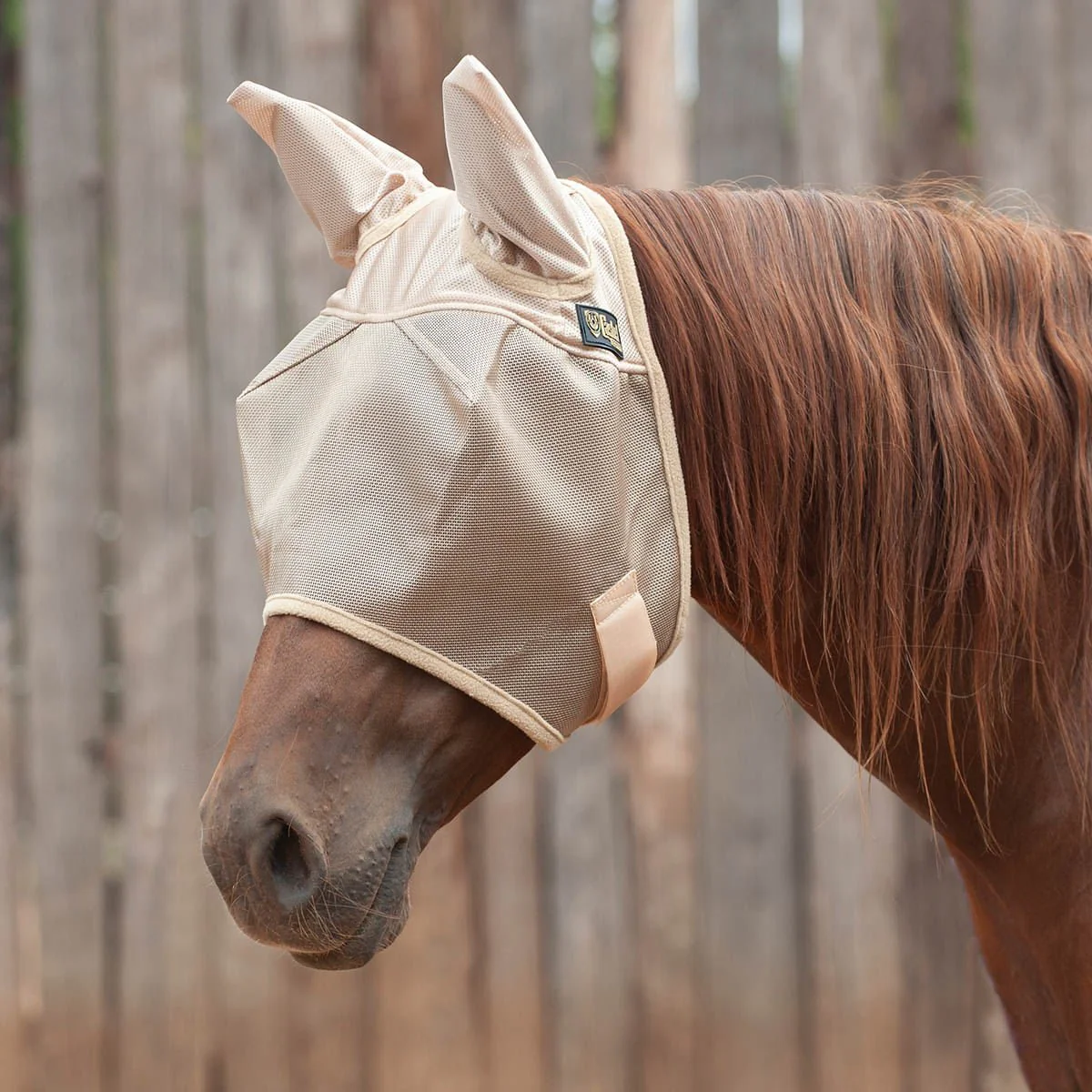 Cashel Economy Fly Mask with Ears, Gold - Healthber