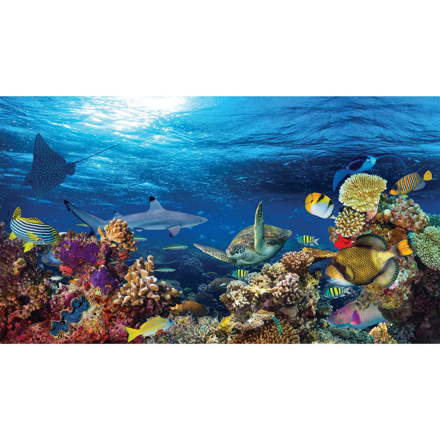 Top Fin Sunlight and Coral Reef Forest Reversible Aquarium Tank Background - Healthber