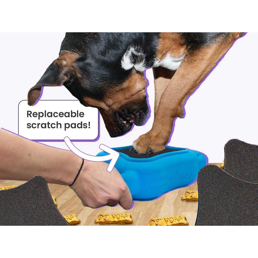 de’ Vora Scratch Square Dog & Cat Grooming Toy - Healthber