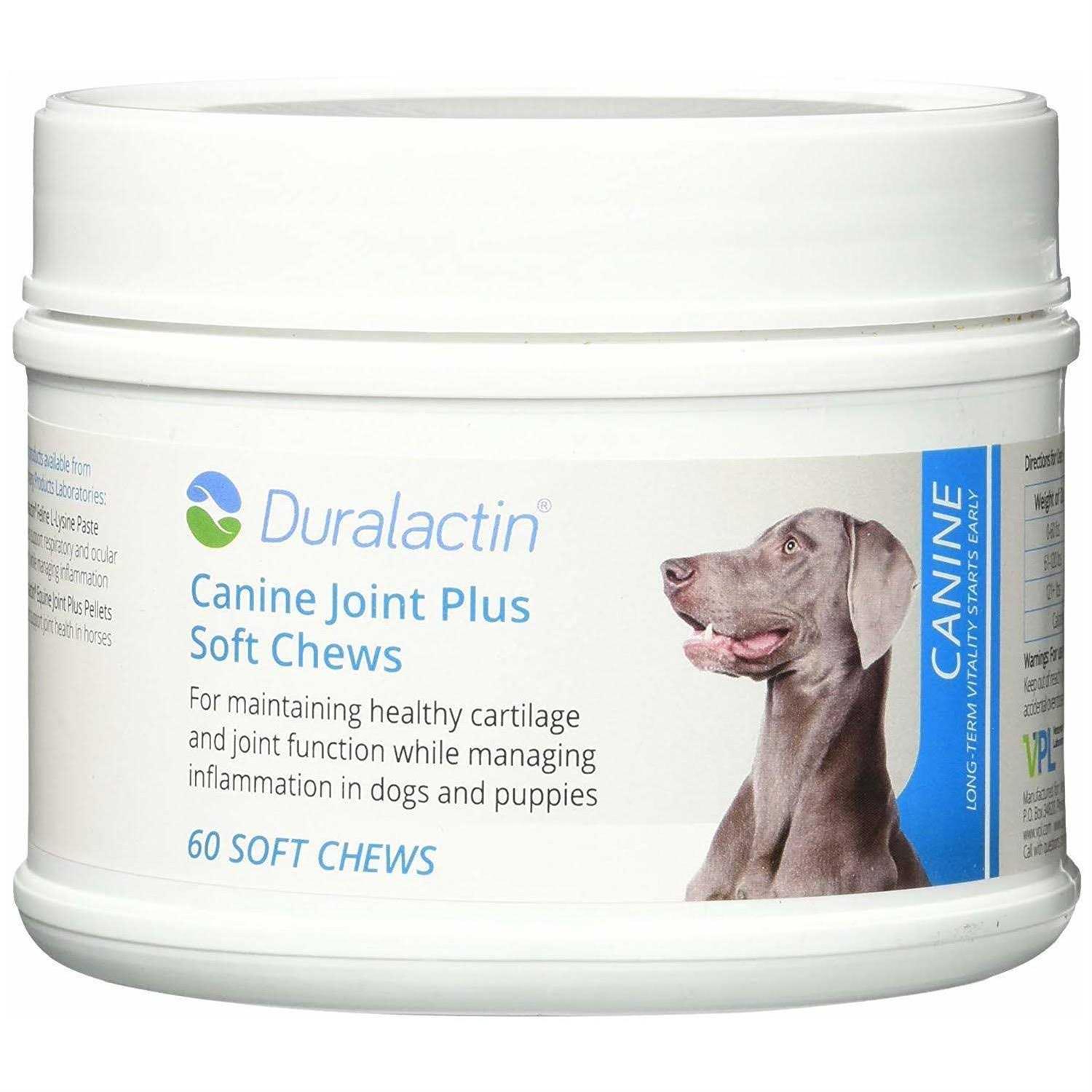Duralactin Canine Joint Plus Soft Chews - Healthber
