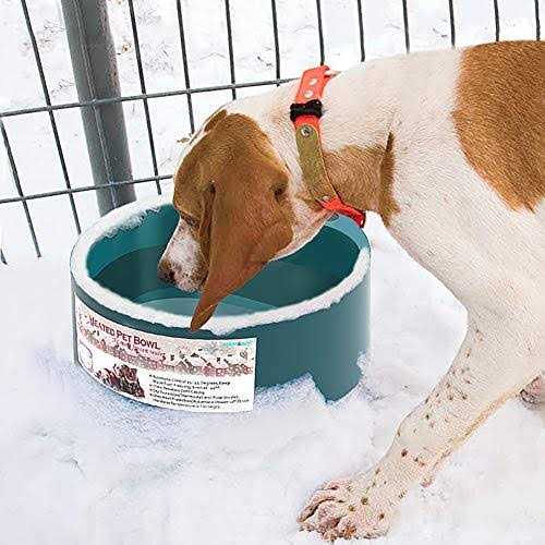 PETLESO Dog Heated Water Bowl Pet Water Heating Bowl for Cats Dogs Chicken Birds Outdoor Winter Dog Bowl - Healthber