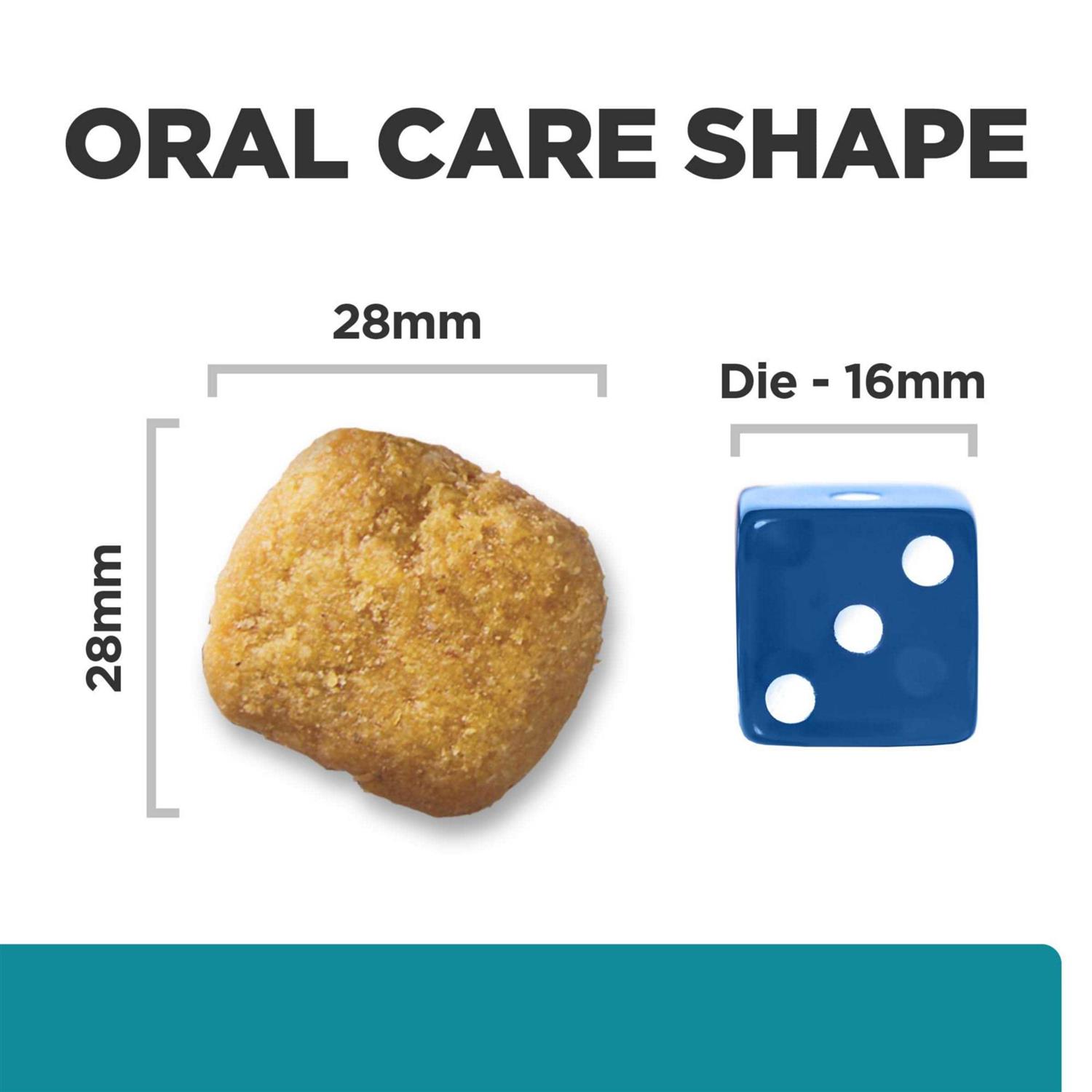 Hill’s Prescription Diet t/d Dental Care Chicken Flavor Dry Dog Food - Healthber