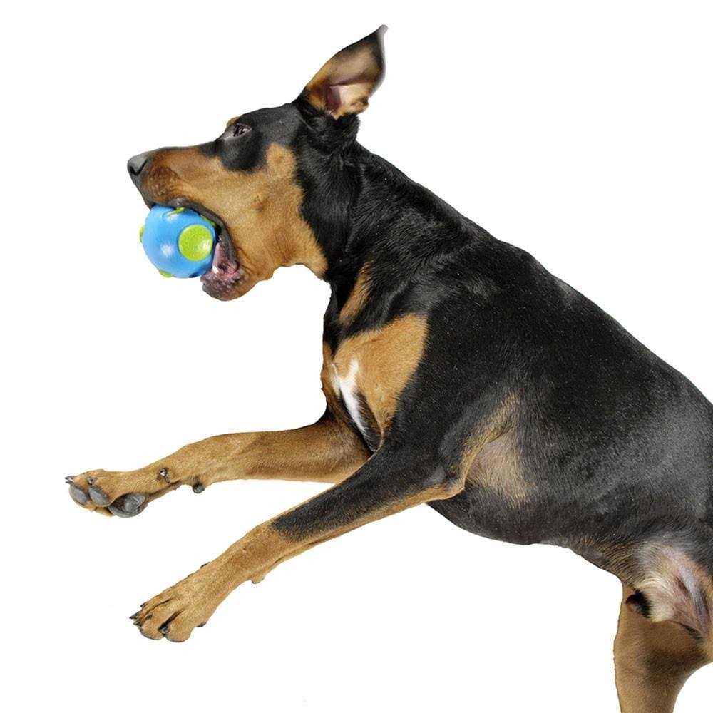 Planet Dog Orbee Tuff Ball Blue - Healthber