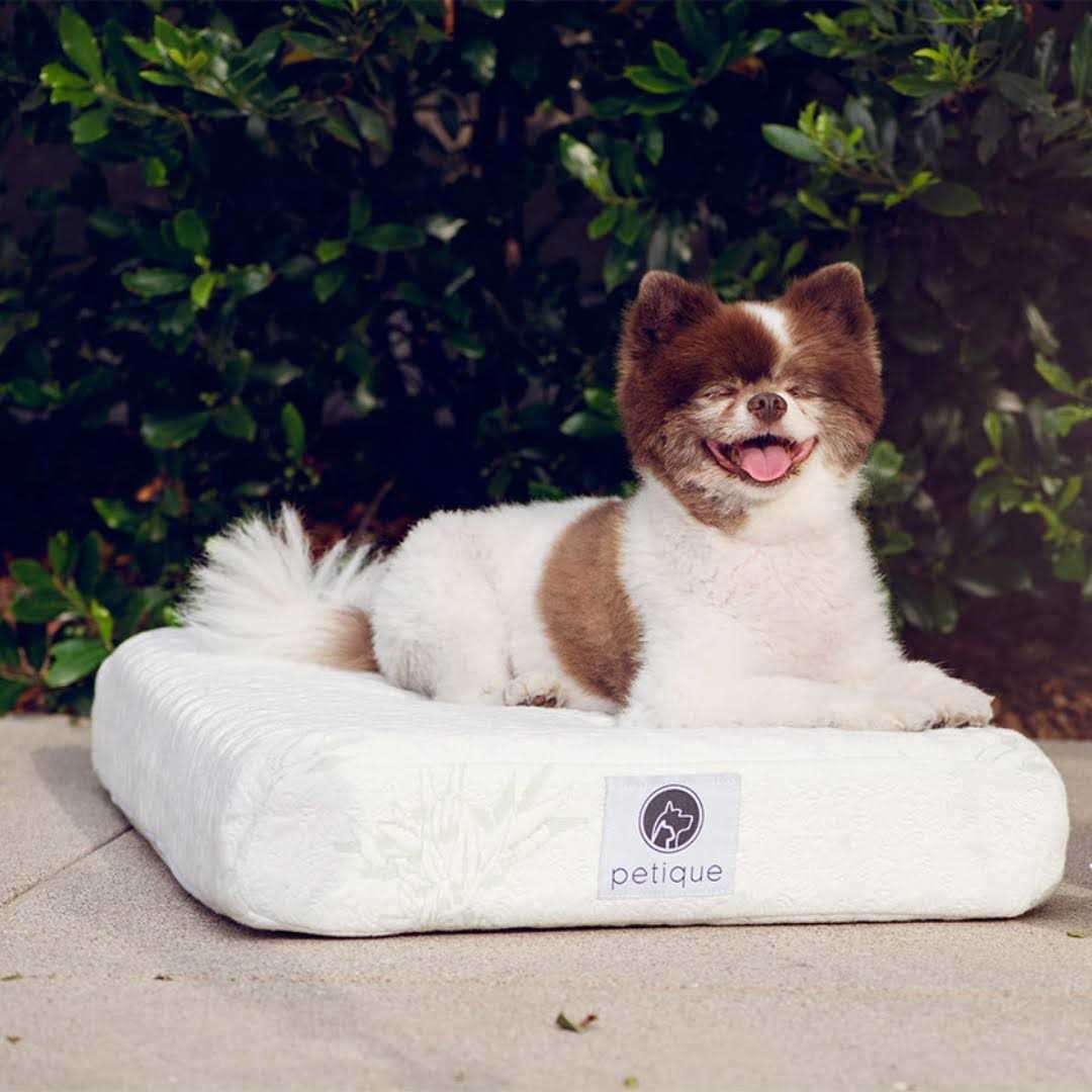 Petique Bamboo Memory Foam Pet Bed - Healthber