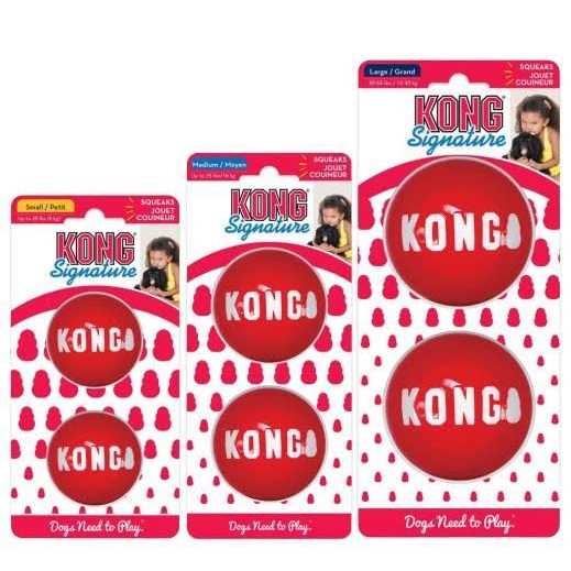 Kong Signature Ball Dog Toy - Healthber