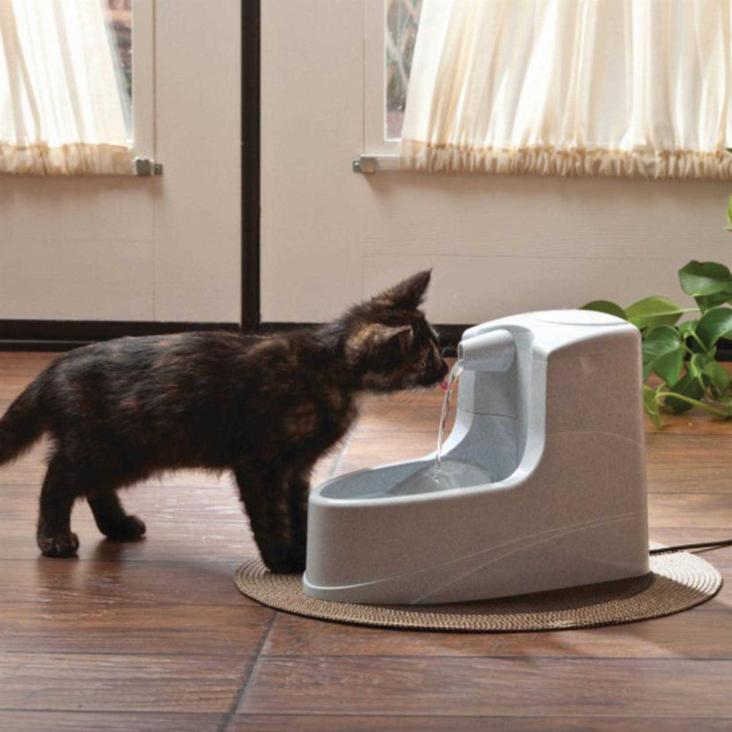 PetSafe Drinkwell Mini Pet Fountain – 1.2L - Healthber