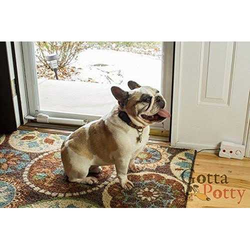 SAFETY VISION The Source Direct Wireless Dog Potty Training System - Healthber