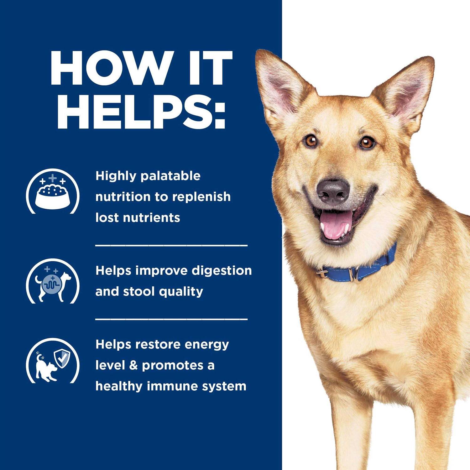 Prescription Diet i/d Digestive Care Cat Canned Food - Healthber