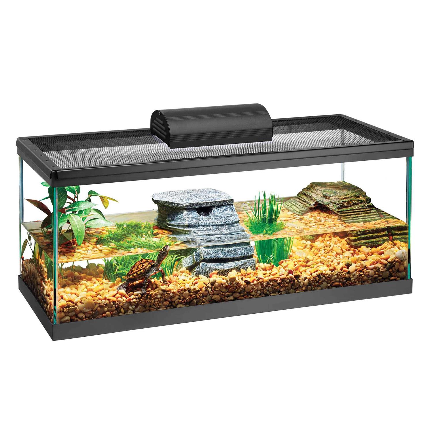 Aqueon Aquarium Tank - Healthber