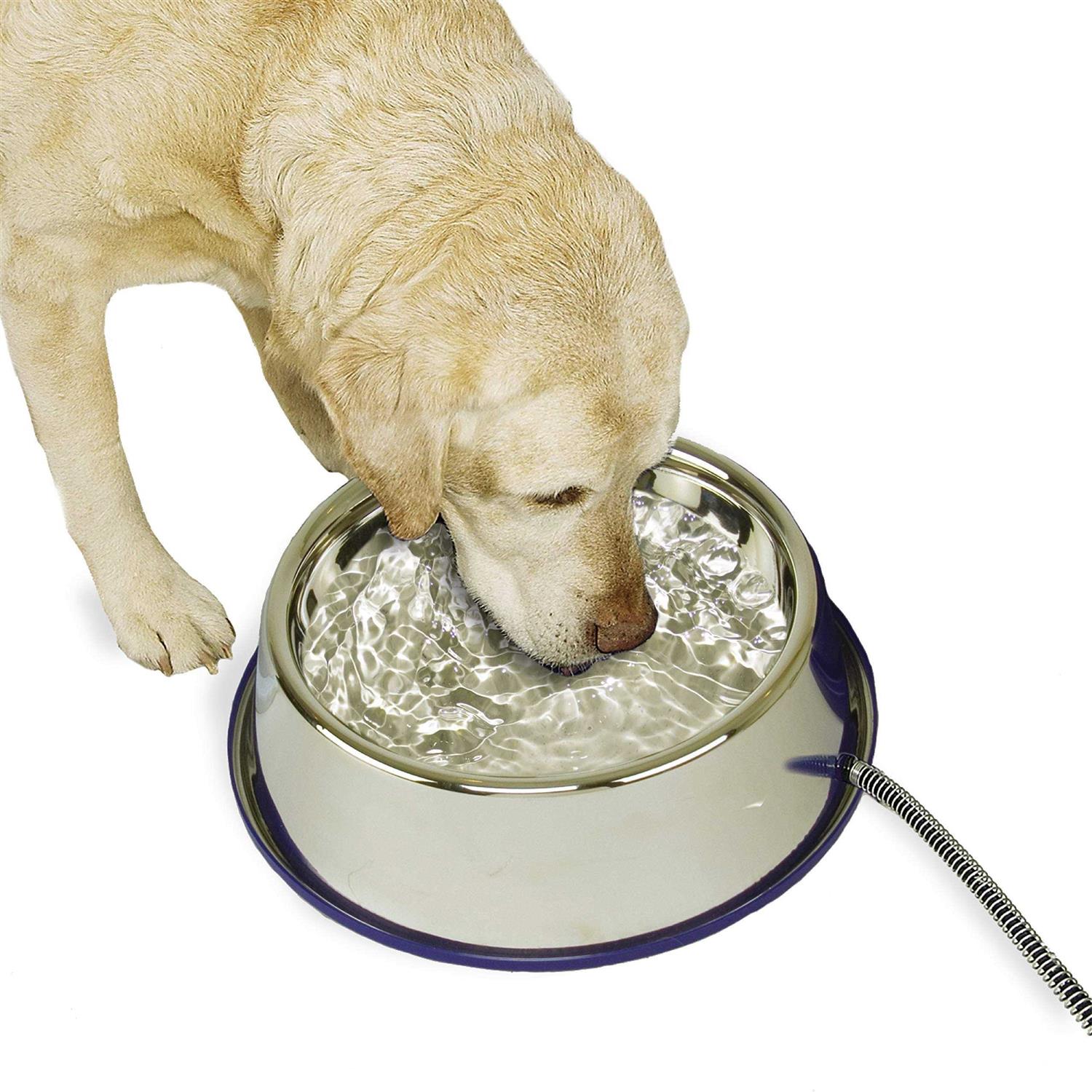 K&H Pet Products Thermal-Bowl Stainless Steel Cat & Dog Bowl - Healthber