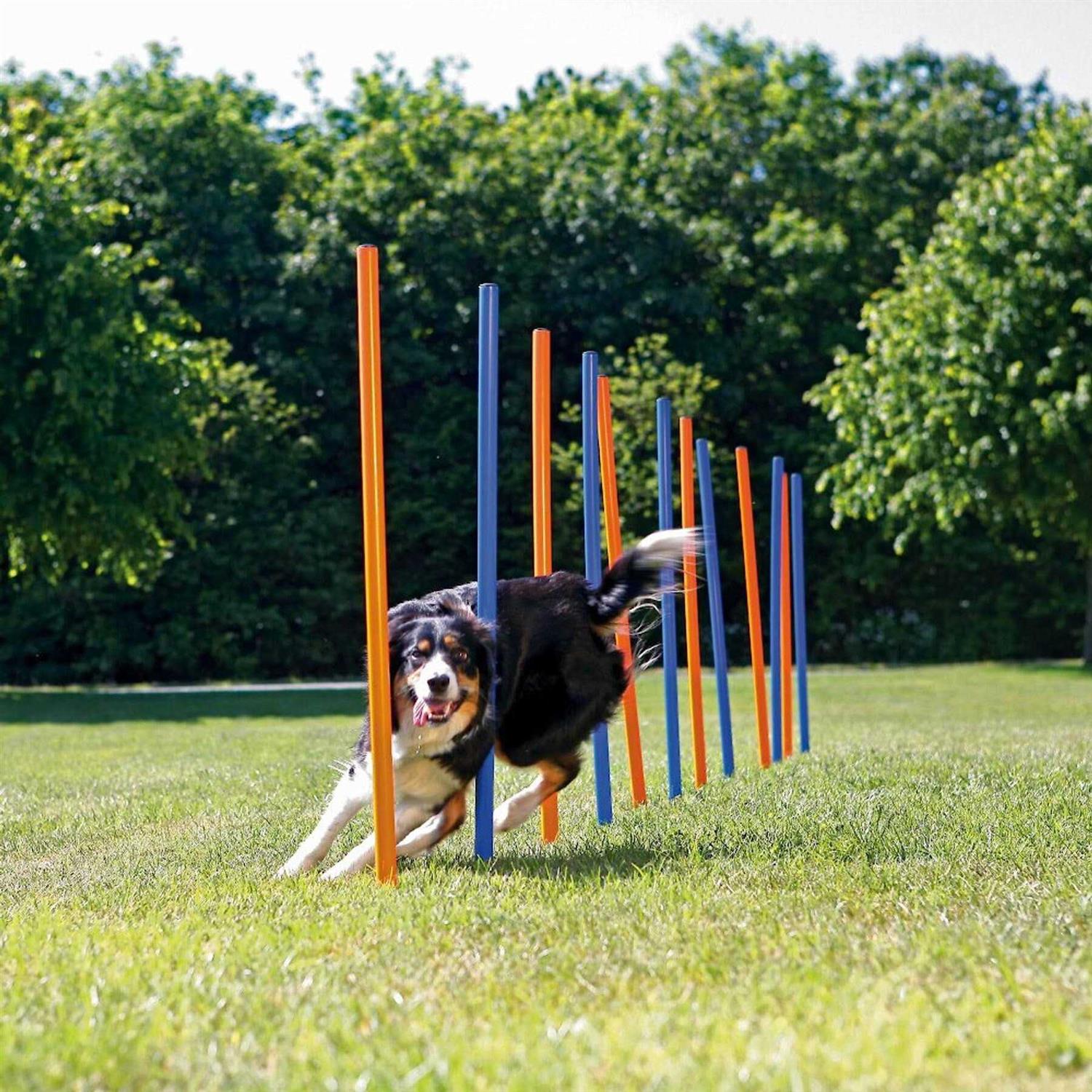 Trixie Agility Slalom Dog Training Poles - Healthber