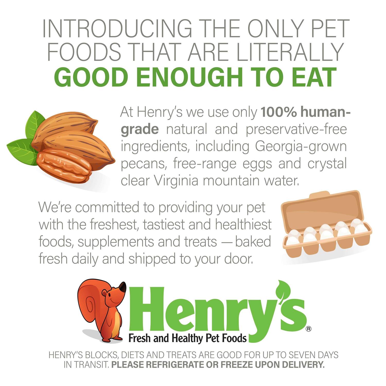 Henry’s Healthy Blocks Nutritionally Complete Food for Squirrels, Flying Squirrels, and Chipmunks - Healthber