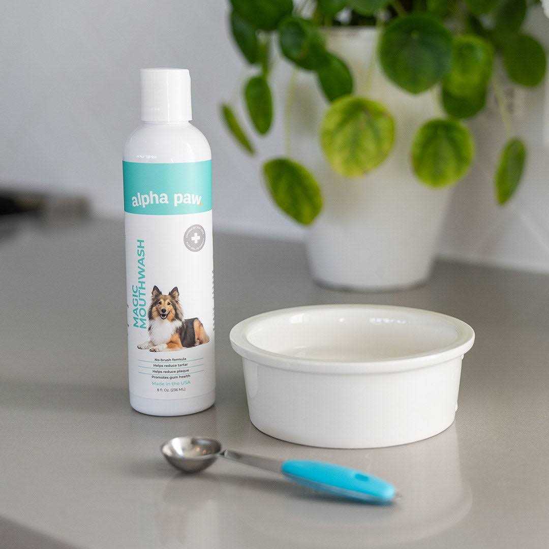 Alpha Paw Magic Mouthwash for Dogs - Healthber