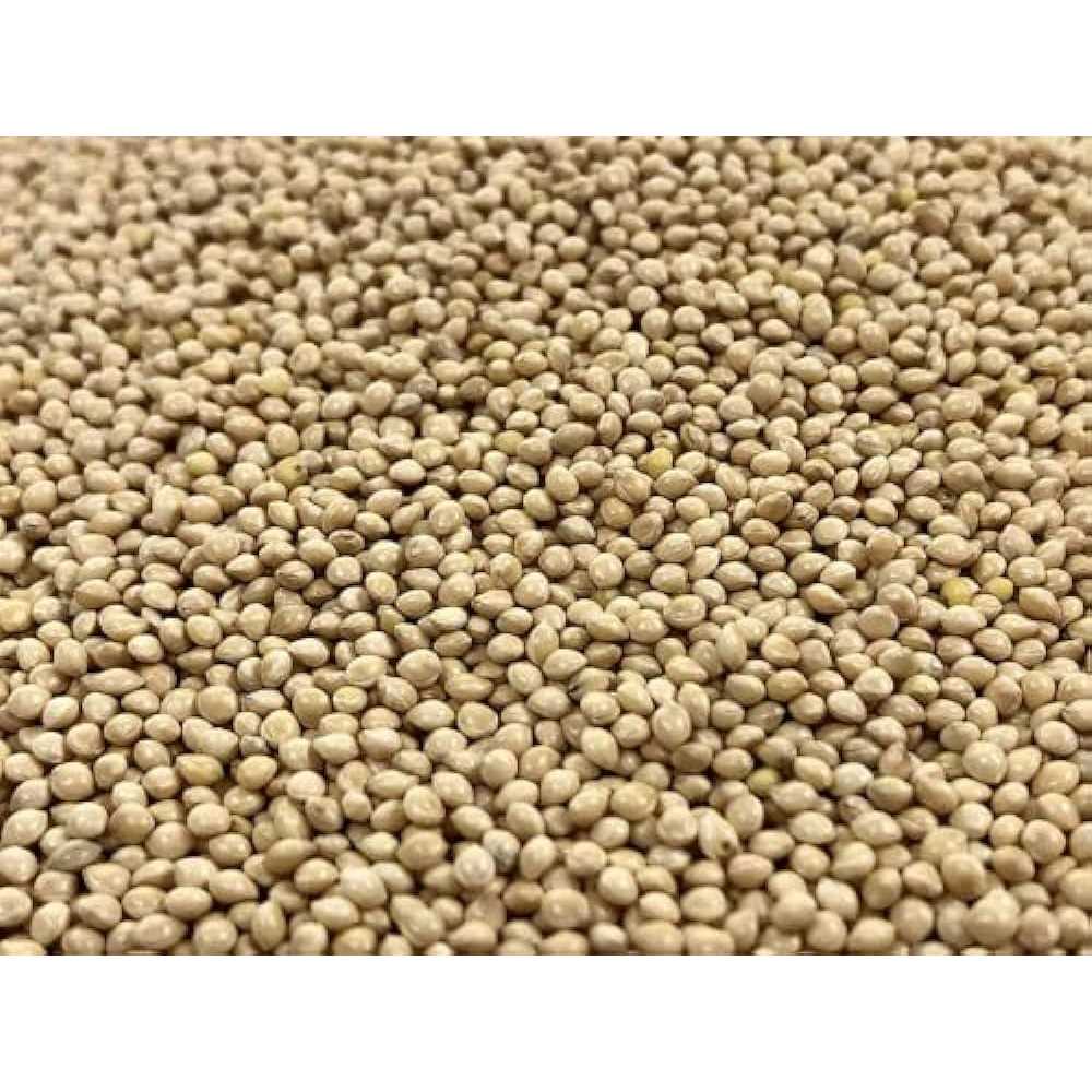 KAYSO INC Premium White Proso Millet Bird Seed Feed,10lbs Bulk Bag - Healthber