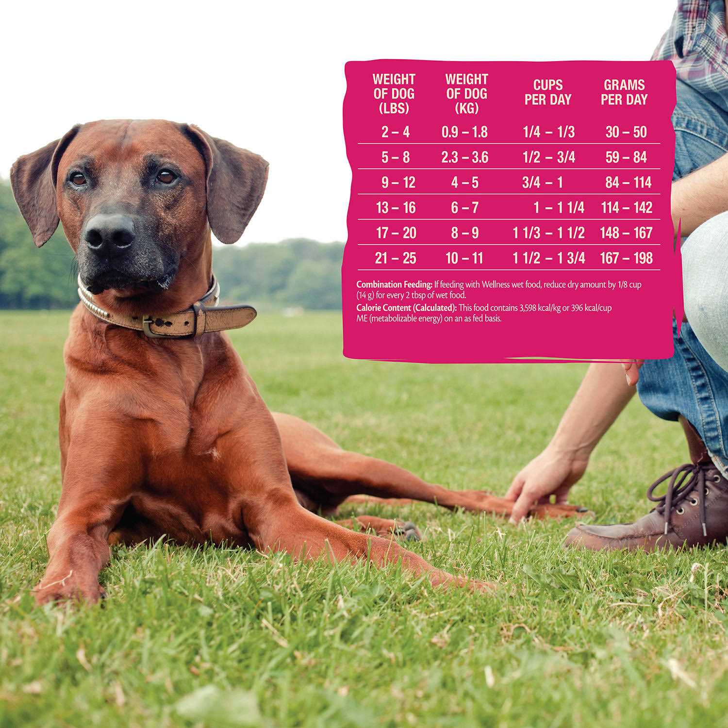 Wellness CORE Grain-Free Small Breed Dry Dog Food - Healthber