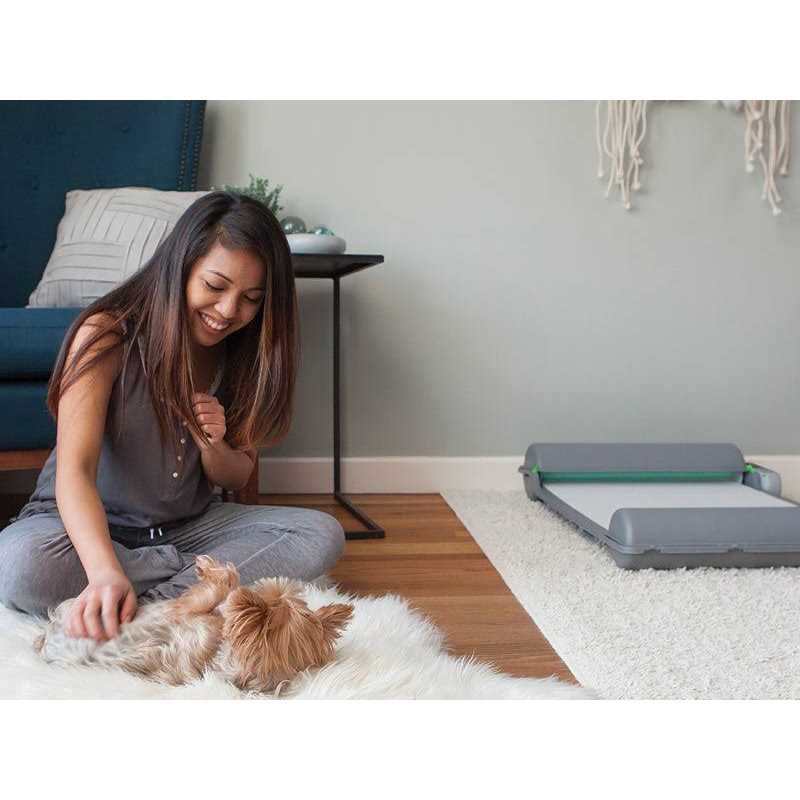 BrilliantPad Self-Cleaning, Automatic Indoor Dog Potty for Puppies and Small Dogs - Healthber