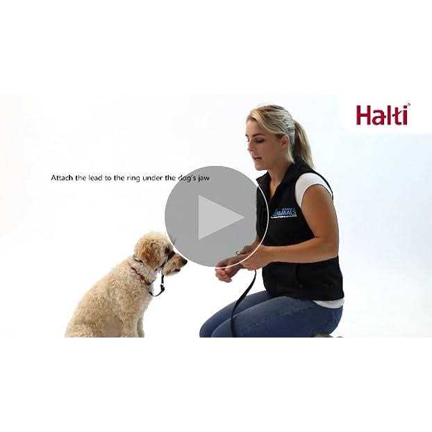 Halti Optifit Headcollar - Healthber