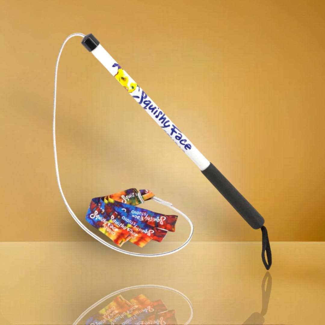 Squishy Face Studio Flirt Pole V2 Dog Toy with Lure - Healthber