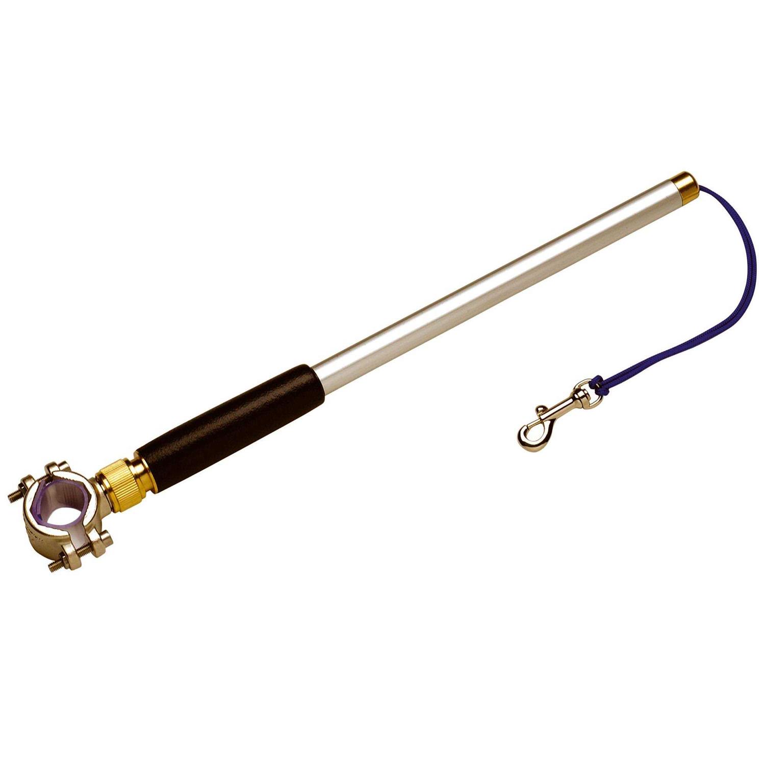 Walky Dog Plus Bicycle Exercise Dog Leash - Healthber