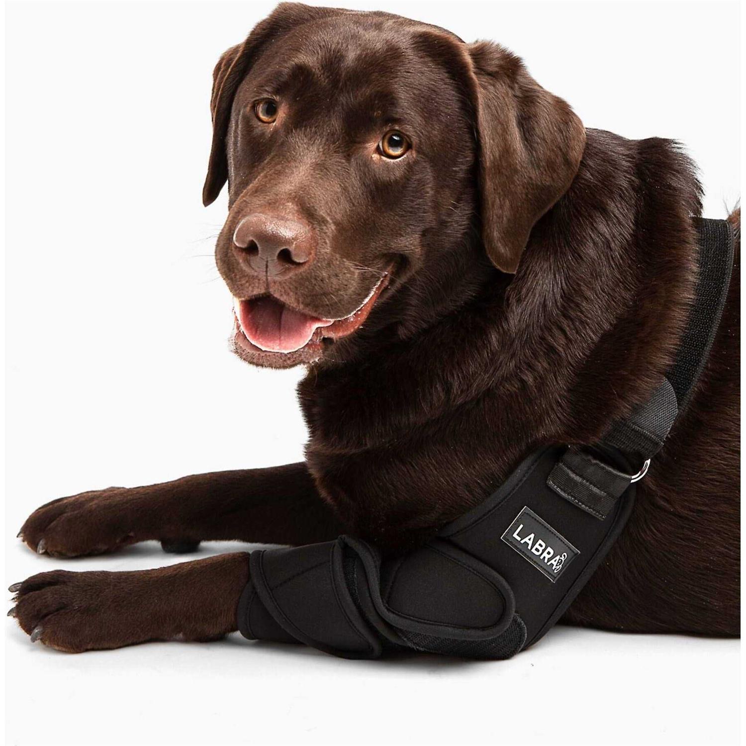 Labra Canine Shoulder Elbow Brace Leg Dog Wrap - Healthber