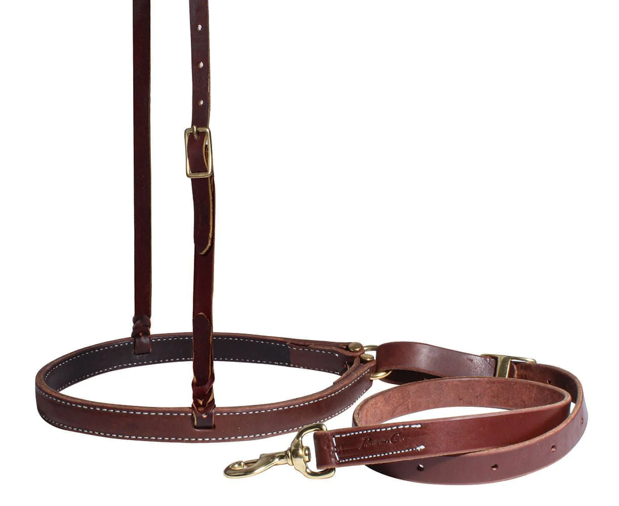 Professional's Choice Harness Leather Ranch Tie Down Set - Healthber