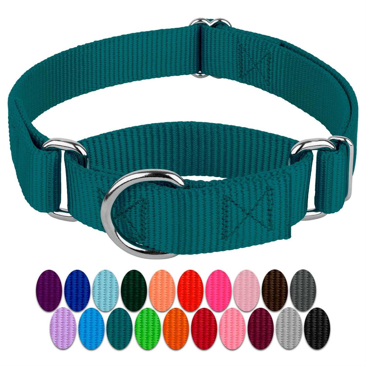 Country Brook Petz Martingale Nylon Dog Collar - Healthber