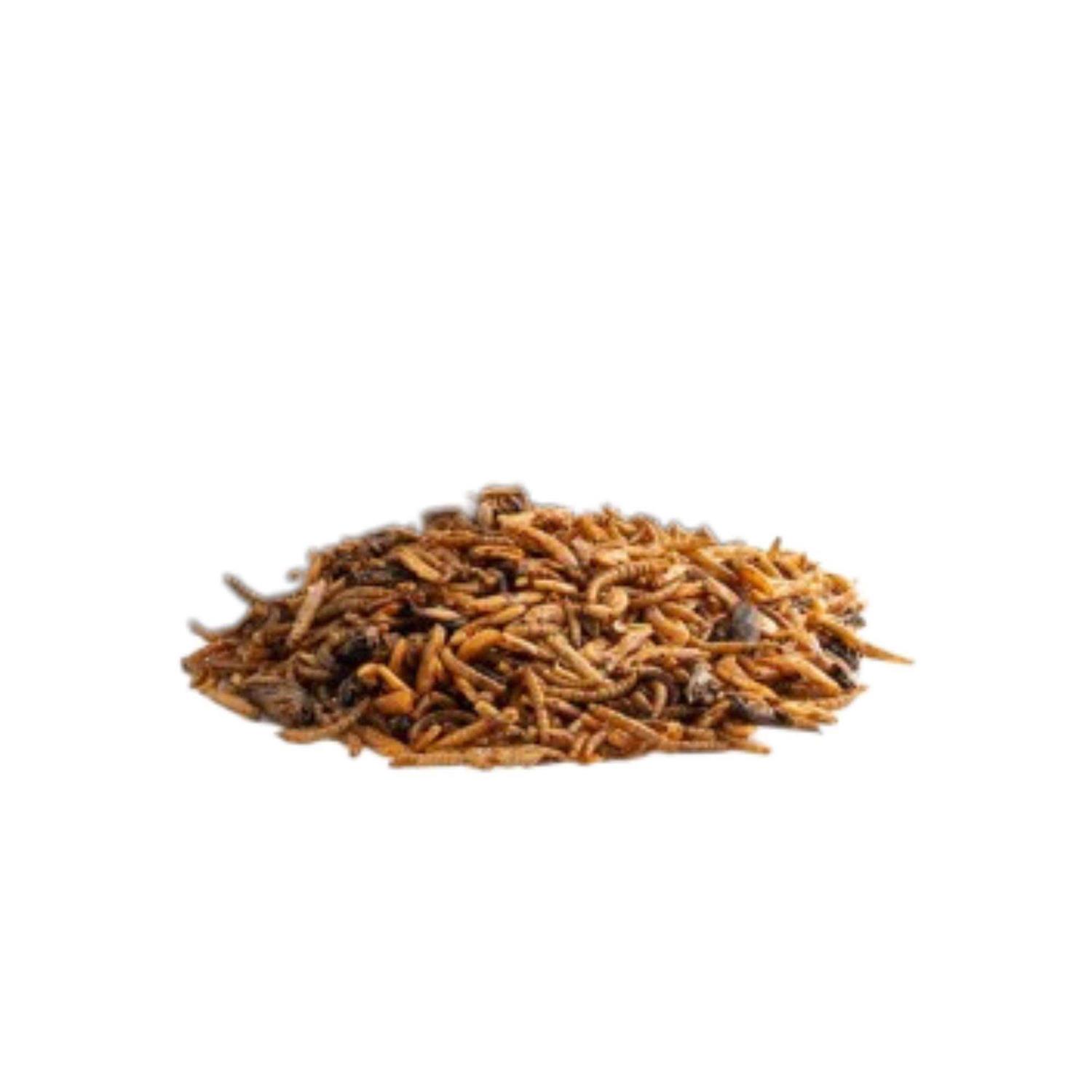 Flukers Grub Bag Turtle Treat - Healthber